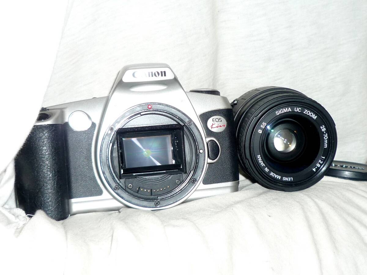 Canon EOS Kiss（シグマ28-70ｍｍズーム付)動作品_画像9