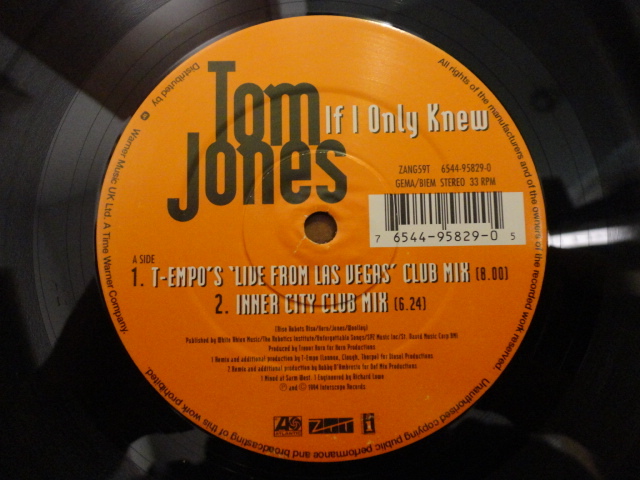 Tom Jones If I Only Knew оригинал . запись 12 верхний *so Wolf ruVOCAL HOUSE Bobby D\'Ambrosio Remix сбор просмотр 