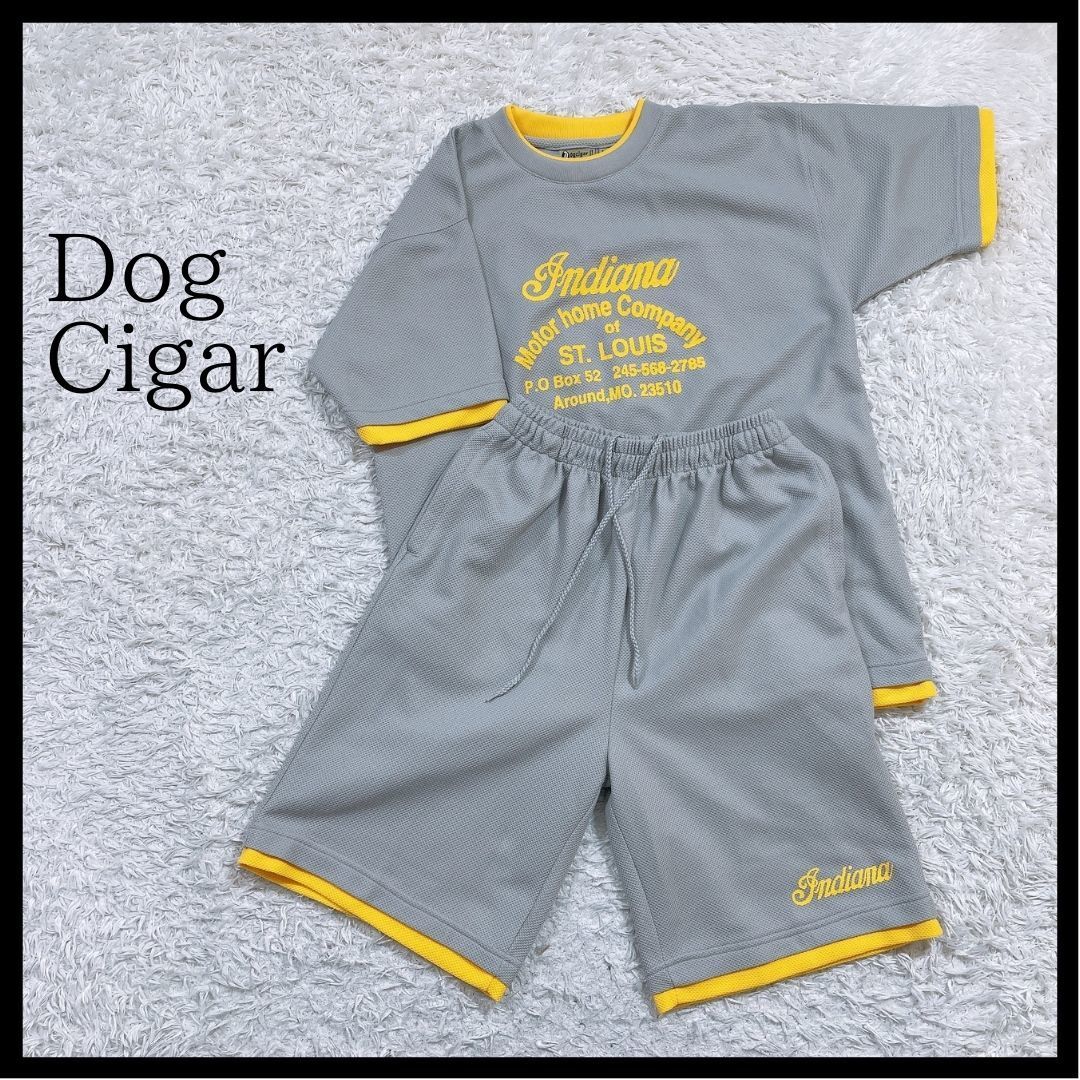 メンズM Dog Cigar セットアップ Tシャツ ハーフパンツ グレー 灰色 イエロー 黄 訳アリ品 半袖 ウエストゴム ドッグシガー 【25667】_画像1