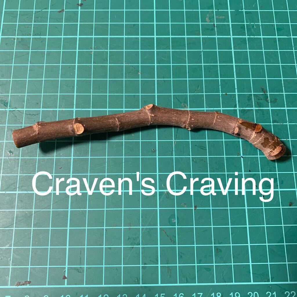 Craven's Craving穂木 イチジク穂木 いちじく穂木 の画像1