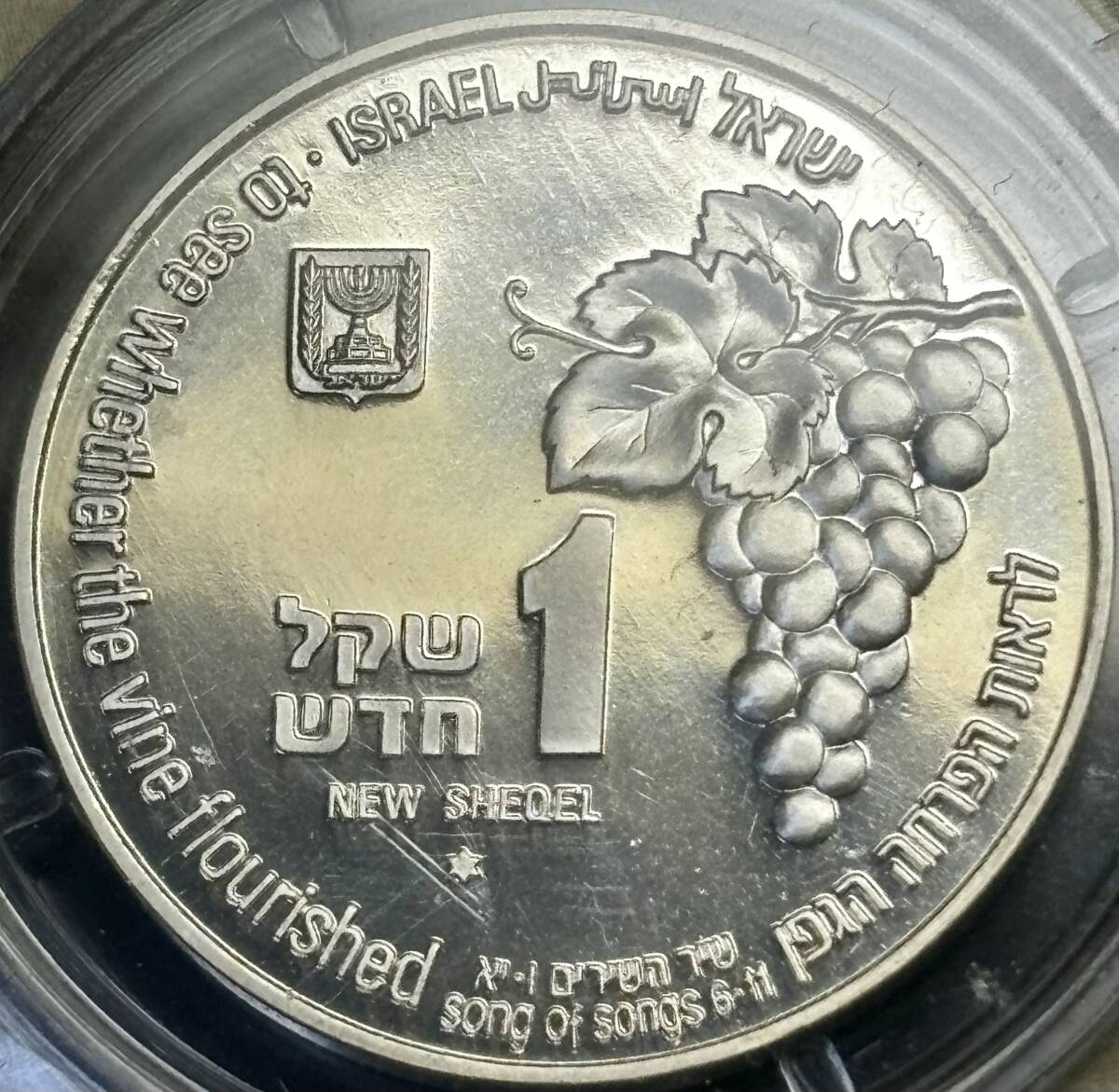 【イスラエル銀貨】(1995年銘 14.5g 直径30mm プルーフ)_画像3