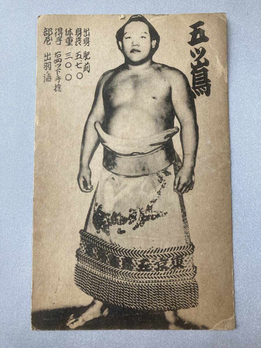 大相撲 力士 ブロマイド 5枚 神東山・五ツ嶌・笠置山・櫻錦・双葉山 プロマイド_画像4