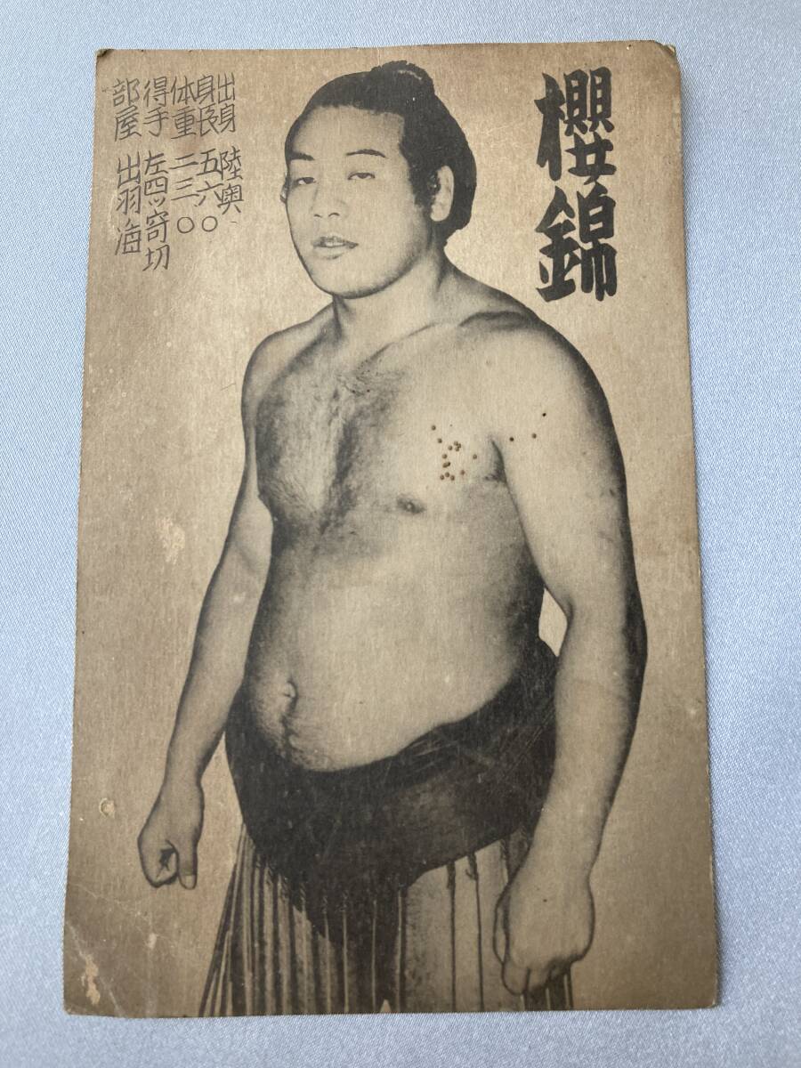 大相撲 力士 ブロマイド 5枚 神東山・五ツ嶌・笠置山・櫻錦・双葉山 プロマイド_画像6