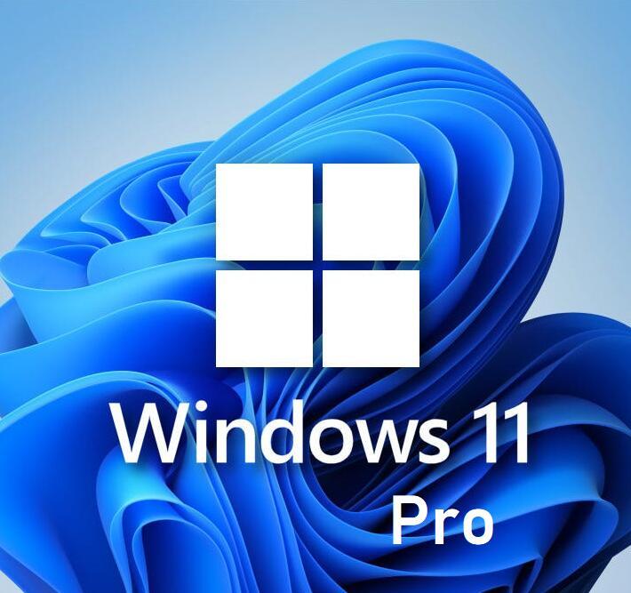 Windows11 ProダブルOSソフトウェア旧型落ち古いPC導入Win10&11切替可能DVD&USB不要インストールTPM2.0回避プロダクトキー付アップグレードの画像1