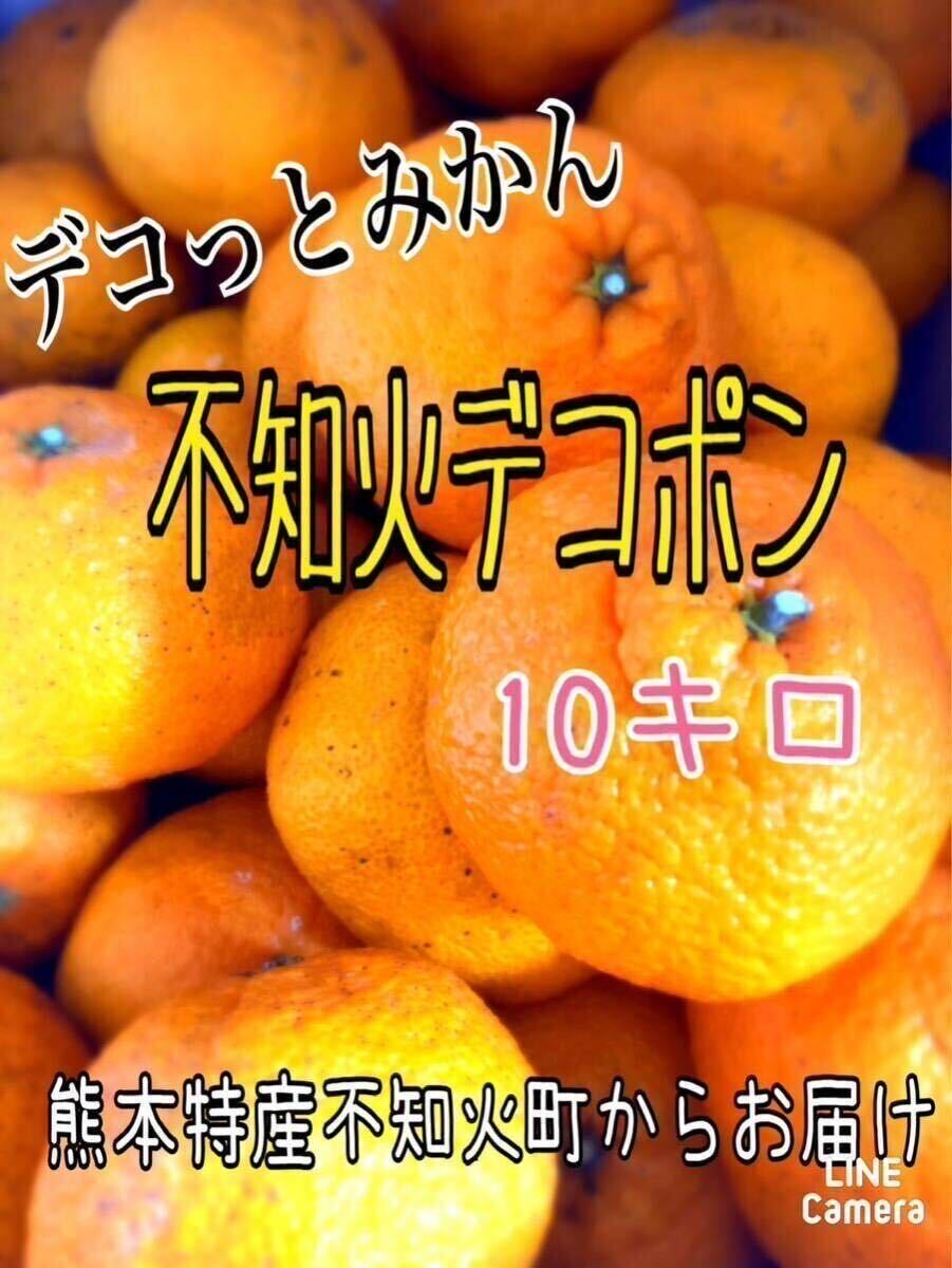 熊本県産 不知火、デコポン 10kg 家庭用の画像1