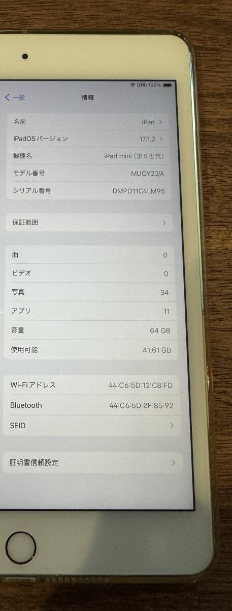 iPad mini5 64GB (第5世代) Wi-Fi MUQY2J/A ゴールド_画像3