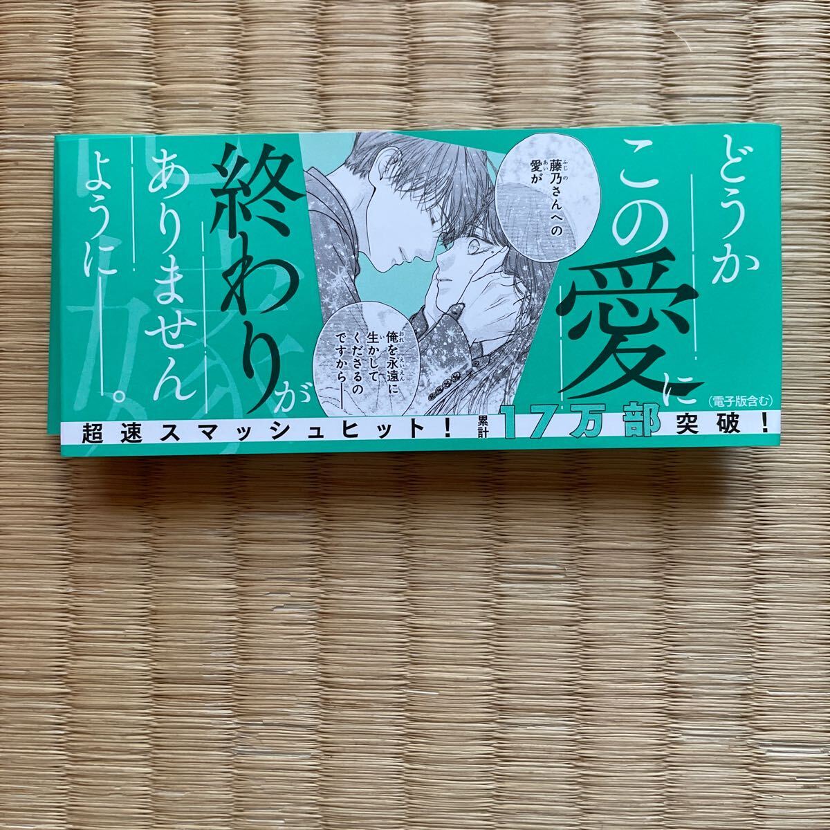 通常コミック★従僕と鳥籠の花嫁 ３巻 最新刊★本田楓_画像3