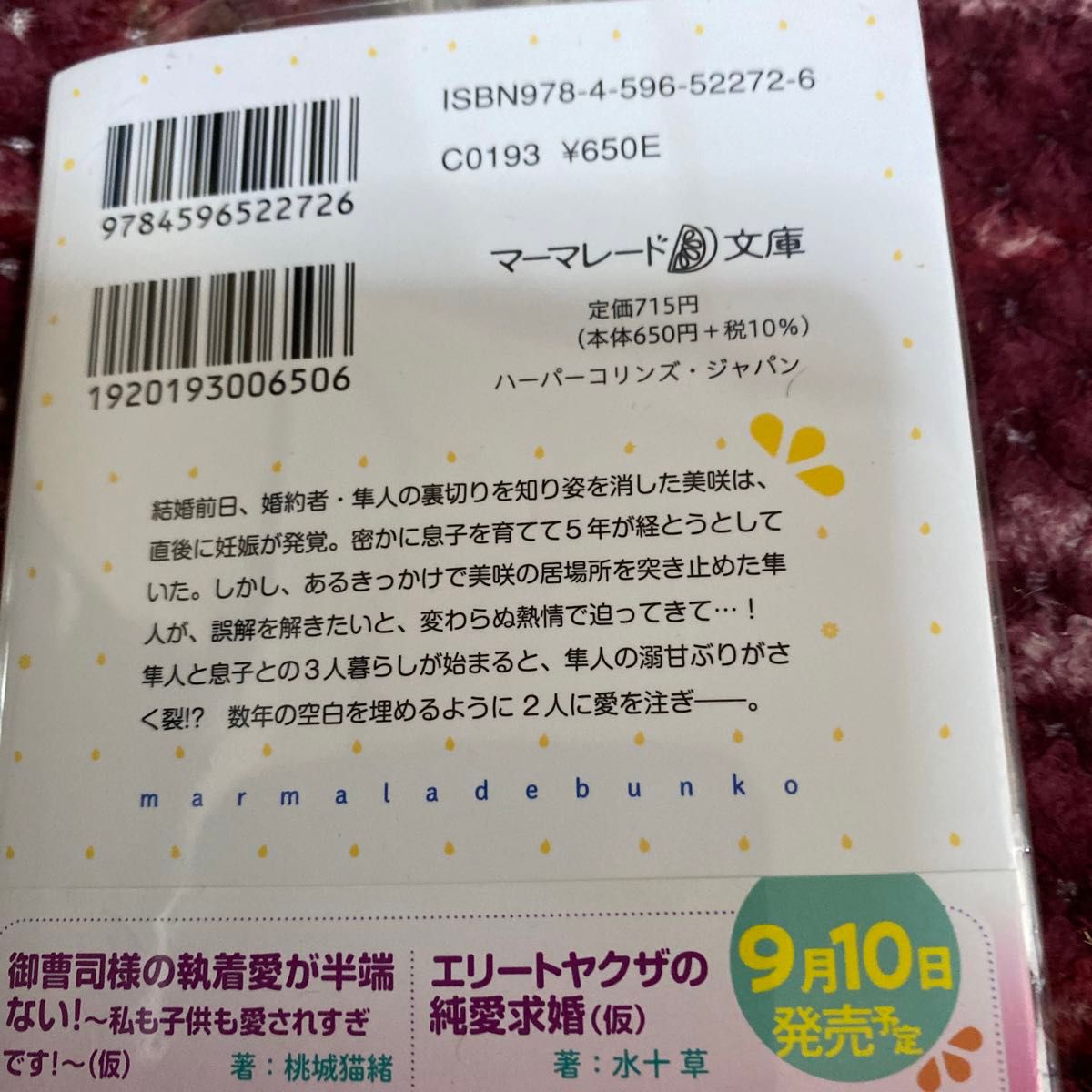 秘密で息子を産んだら、迎えにきたエリート御曹司の熱烈…ん（マーマレード文庫　ス３－０１） すずしろたえ／著