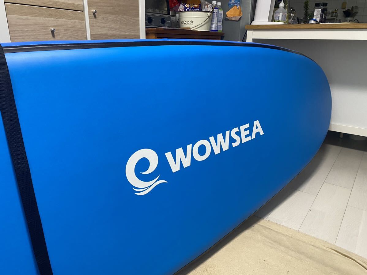 WOWSEA Trophy T1 サップ　ランドマン電動空気入れ_画像5