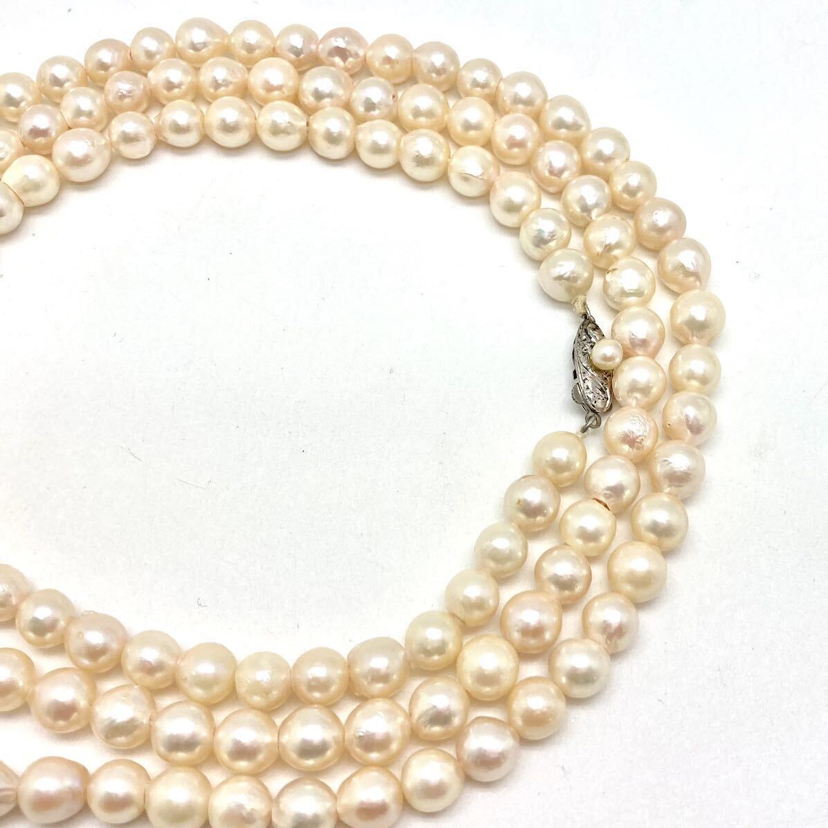 「アコヤ本真珠ネックレスおまとめ」m約168g 約　7-8.5mmパール pearl necklace accessory jewelry silver DA0_画像4