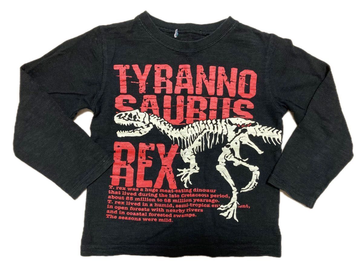 【送料無料】トレーナー　長袖Tシャツ　ロンT サイズ120 トップス2枚セット　まとめ売り　恐竜　ダイナソー　匿名配送