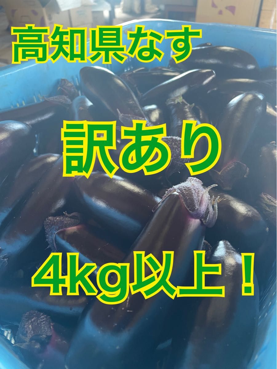 【訳あり】高知県なす　4kg以上！