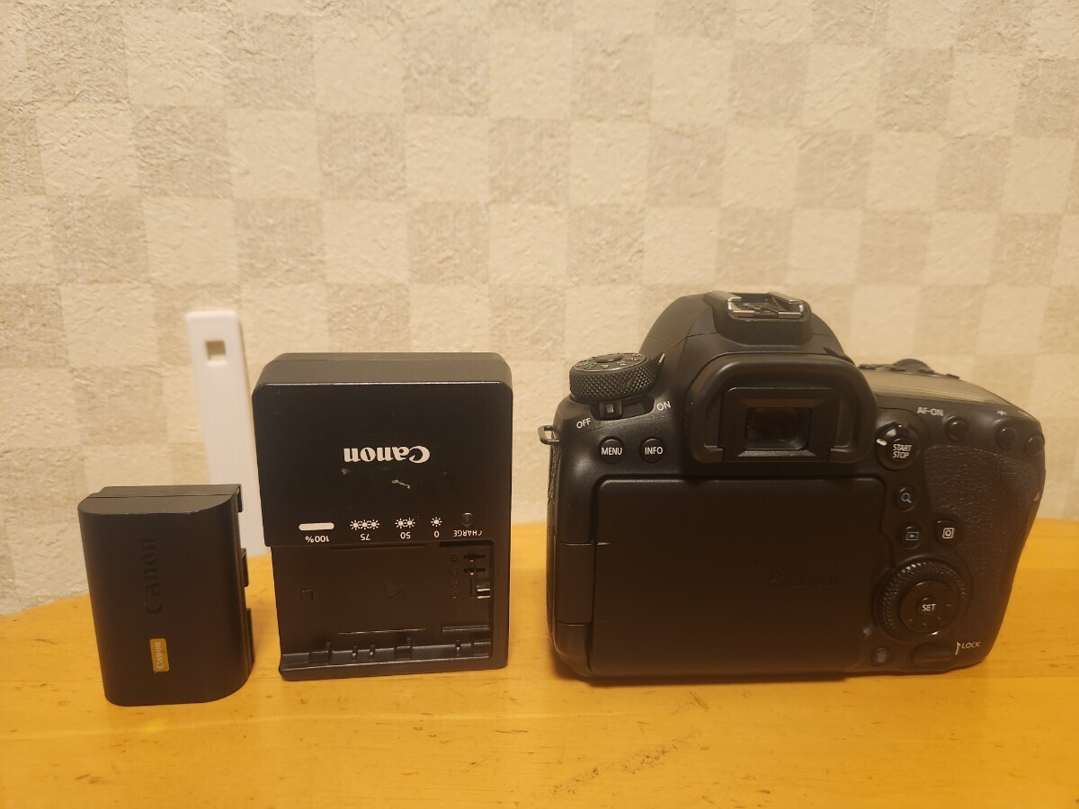 キャノン 6D 見づらく ボディ バッテリー グリップ 充電器付き キャノン 6D 見づらく ボディ バッテリー グリップ 充電器付き