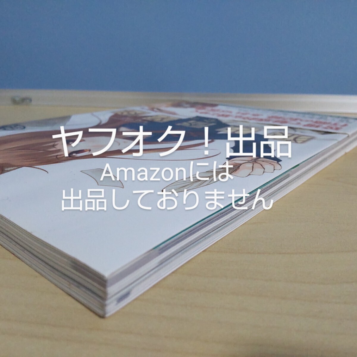 【帯付き】狼と香辛料丿全テ 電撃文庫 支倉凍砂 文倉十 狼と香辛料 公式ガイドブック ホロ ロレンス 《匿名発送》_画像3