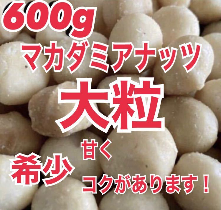 大粒 マカダミアナッツ 600g 素焼き 無塩 健康 美容  ナッツ 非常食 美容の画像1