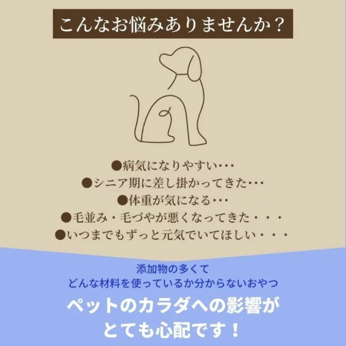 無添加 国産 犬 おやつ ドッグフード 砂肝ジャーキー  砂ずりジャーキー 鶏肉　鶏　砂肝 砂ずり　犬 ペット おやつ 50g