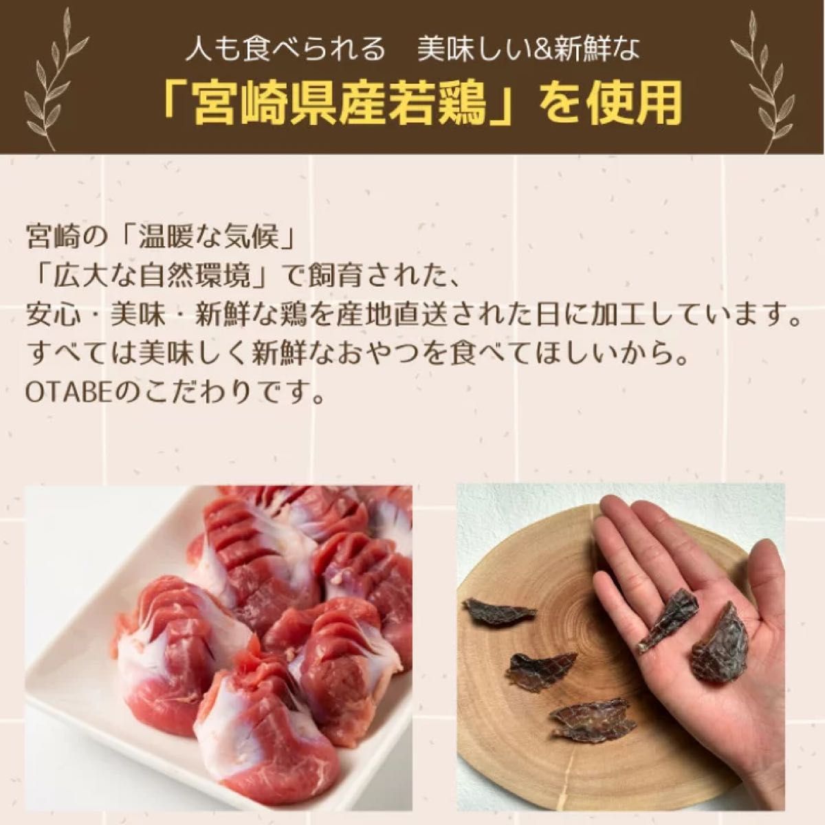 無添加 国産 犬 おやつ ドッグフード 砂肝ジャーキー  砂ずりジャーキー 鶏肉　鶏　砂肝 砂ずり　犬 ペット おやつ 50g