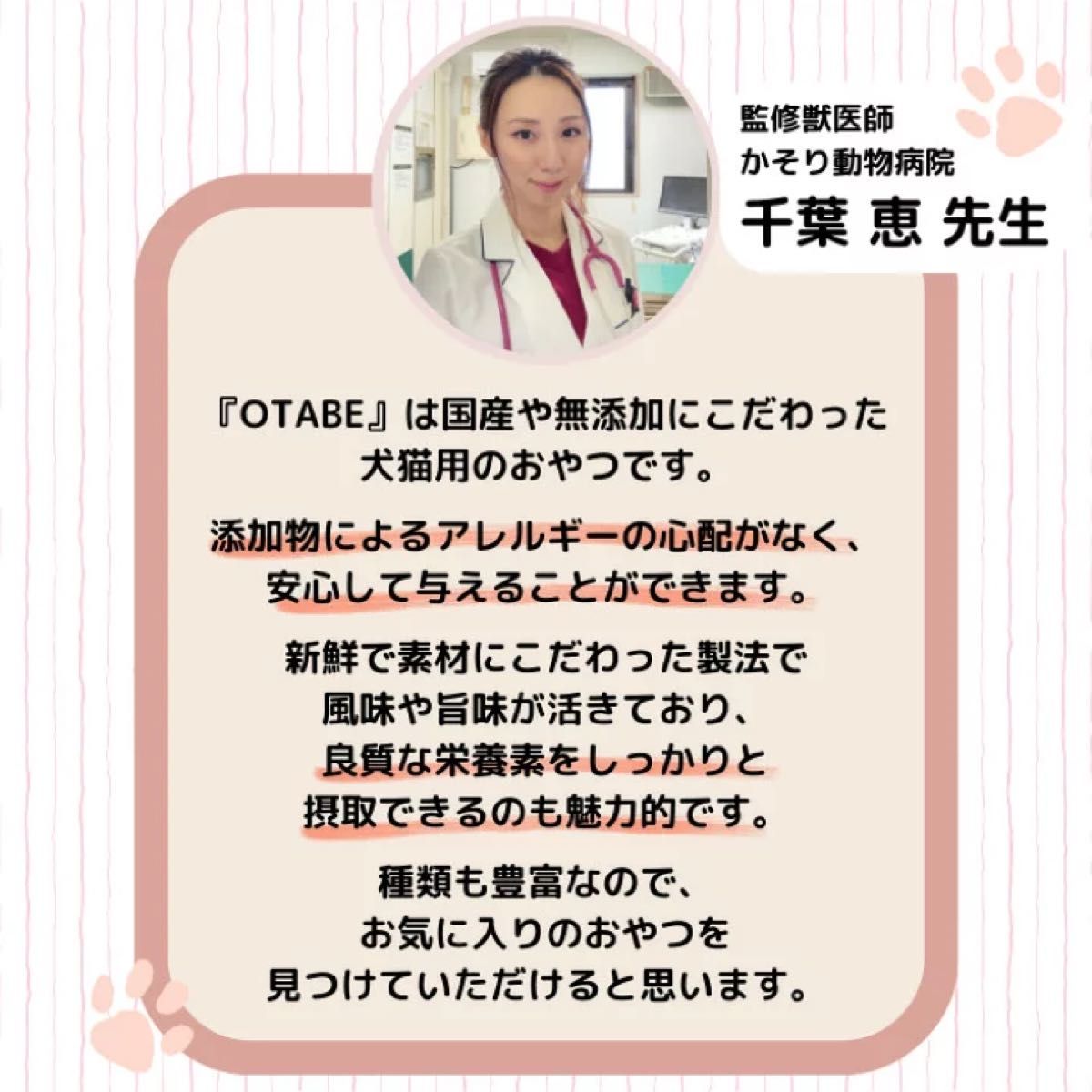 無添加 国産 犬 おやつ ドッグフード 砂肝ジャーキー  砂ずりジャーキー 鶏肉　鶏　砂肝 砂ずり　犬 ペット おやつ 50g