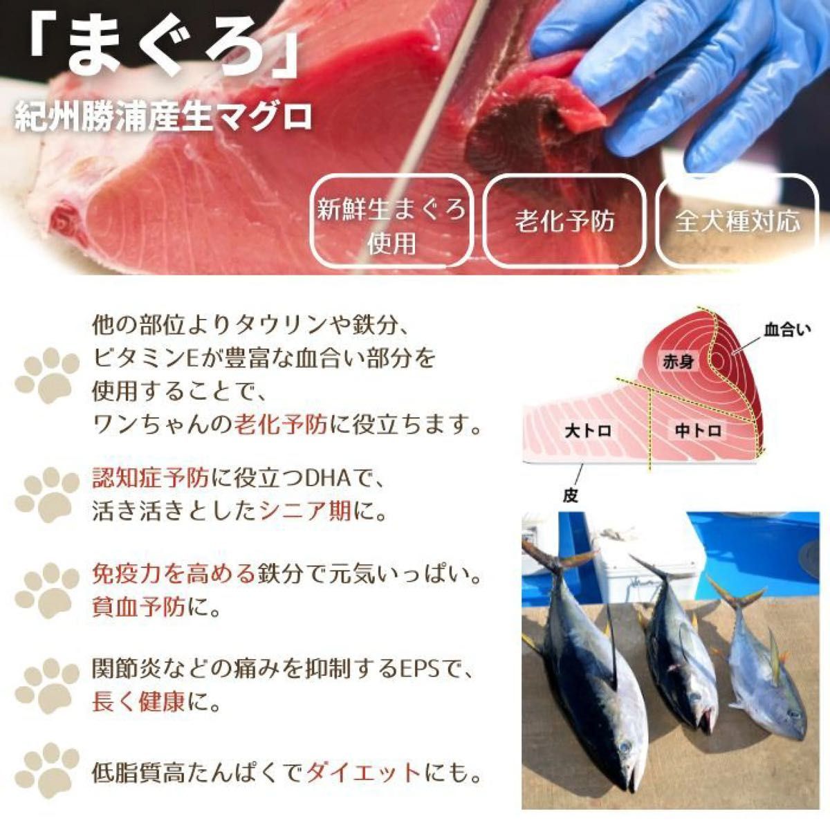 無添加 国産 犬 おやつ ドッグフード まぐろジャーキー マグロジャーキー まぐろ マグロ 魚 犬 ペット おやつ 20g