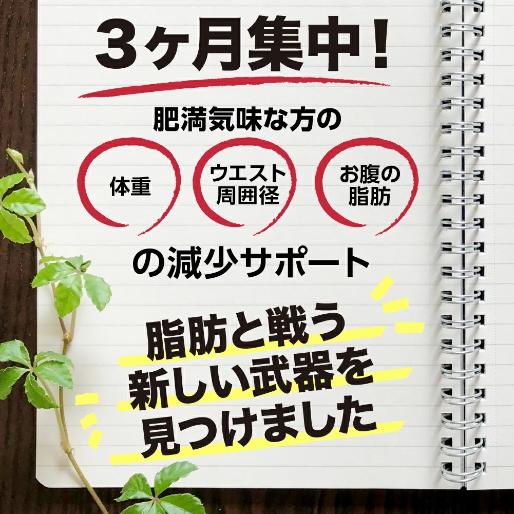 ◆賞味期限 2025.11 送料無料 ダイエット サプリ ダイエットサプリ 内臓脂肪 皮下脂肪 シボヘルシ シボヘルプ 葛の花配合 30日分の画像4