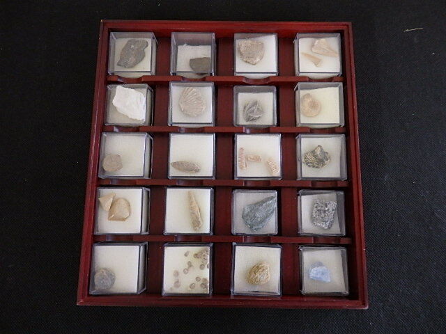 . weekly to leisure * Stone 196 piece set sale TREASURE STONE gem mineral tia Goss tea ni-18