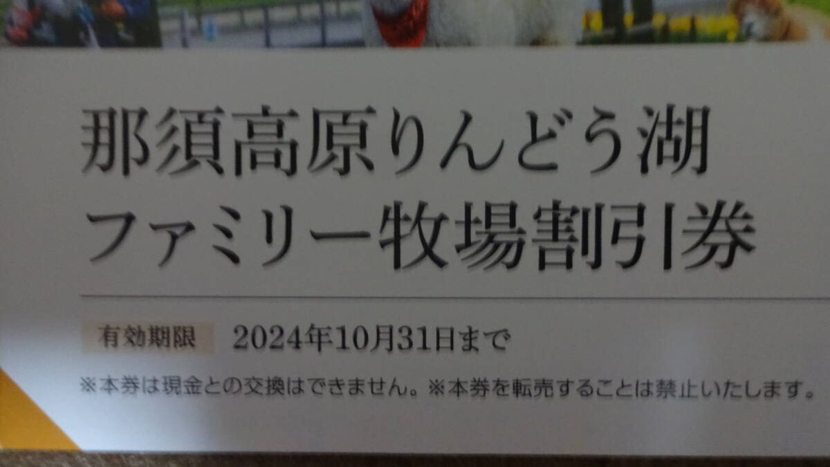 那須ハイランドパーク 那須高原りんどう湖ファミリー牧場 那須の森の空中アスレチックNOZARU 割引券の画像3