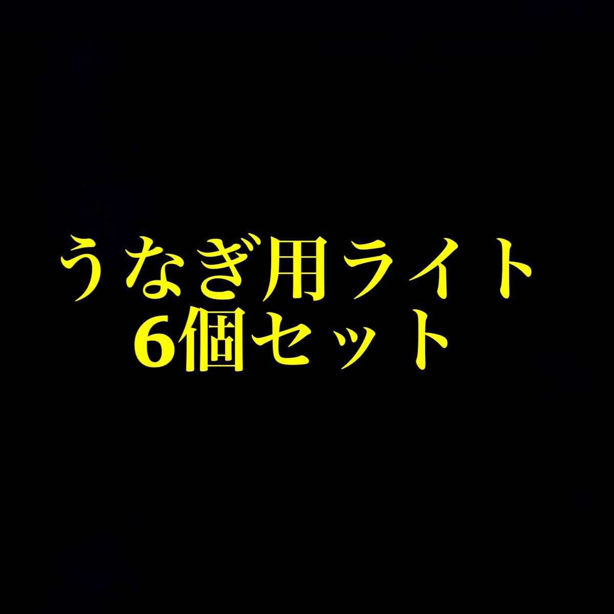 うなぎ用ライト6個セット　_画像1