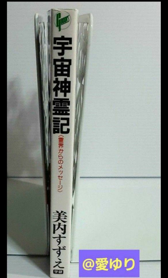 美内すずえ『宇宙神霊記』霊界からのメッセージ チャネリング 美内すずえ『宇宙神霊記』霊界からのメッセージ チャネリング
