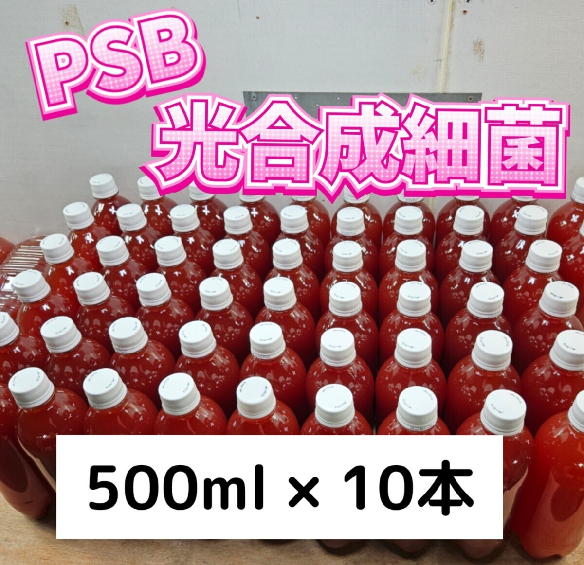 PSB【500ml×10本】光合成細菌 メダカ 水質改善 バクテリア エサの画像1