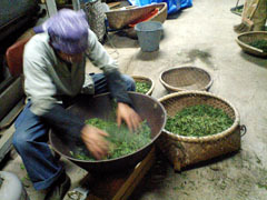 自然栽培 ほうじ茶(100g)★奈良県の誇り高き大和茶★無肥料・無農薬★無添加★麗しく大きく育った茶葉を薪の火で炒り上げ仕上げました♪の画像10