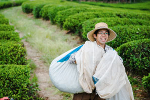 自然栽培 ほうじ茶(100g)★奈良県の誇り高き大和茶★無肥料・無農薬★無添加★麗しく大きく育った茶葉を薪の火で炒り上げ仕上げました♪