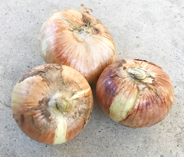  nature cultivation new onion (3500g)* Aichi prefecture production * less fertilizer * less pesticide * have machine ... in addition, .[ nature togheter with ] theme ultimate nature agriculture law . length year work .. -!