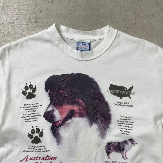 90年代~00年代 ALLSPORT Australian Shepherd アニマル イヌ プリントTシャツ メンズM レディース_画像2