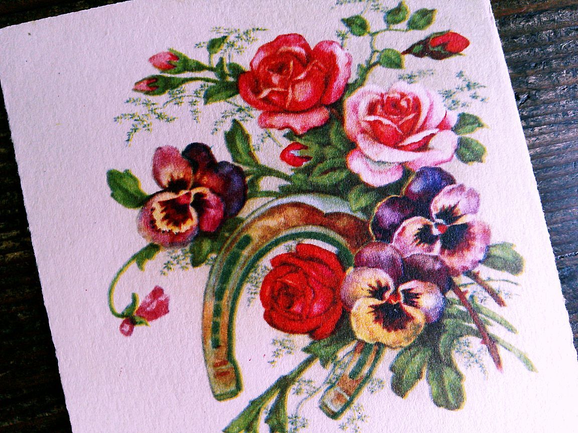 花(5)N47◆薔薇 バラ パンジー アンティークポストカード フランス ドイツ イギリス_画像2