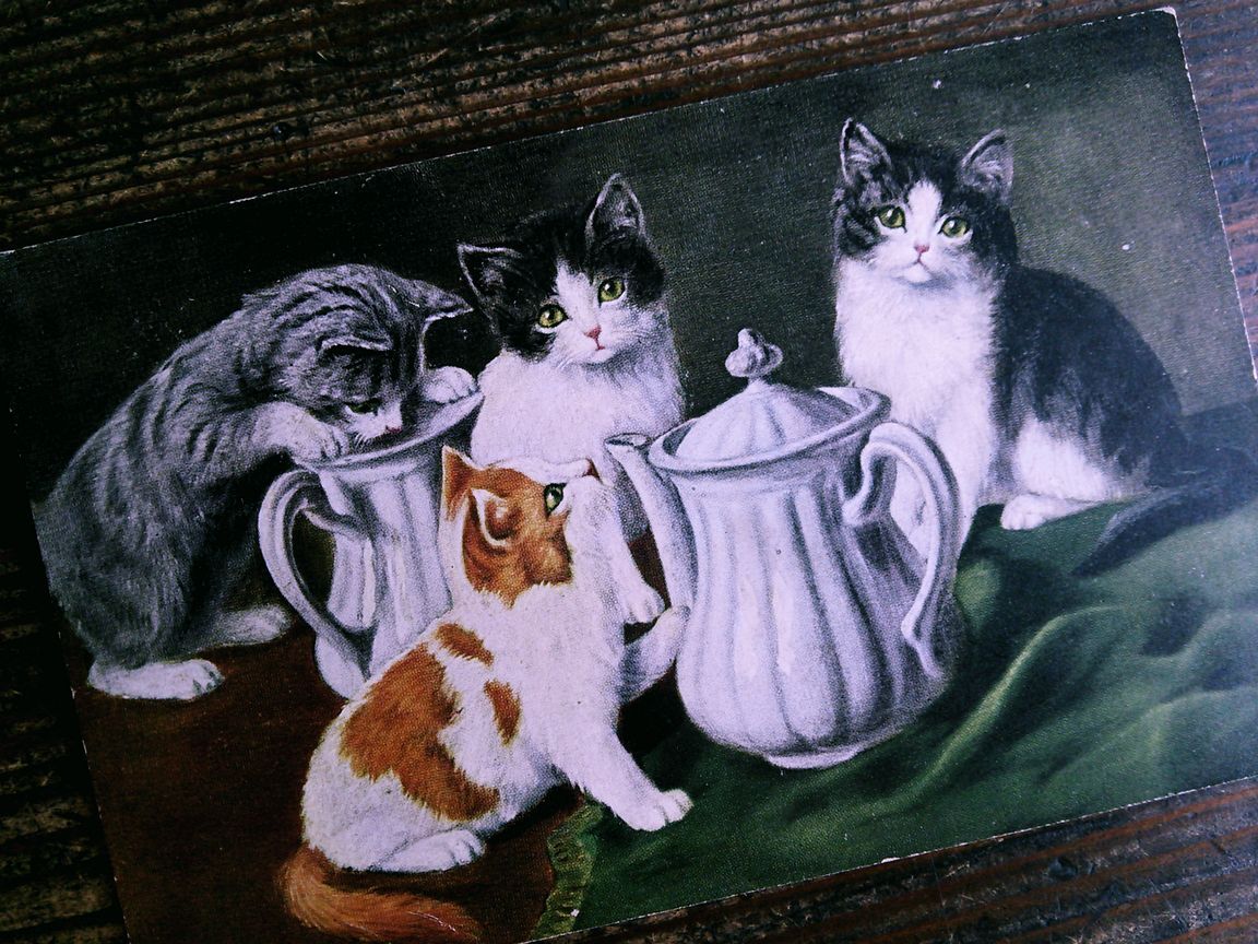 猫(20) R51◆アンティークポストカード フランス ドイツ ベルギー イタリア イギリス ネコ ねこ 子猫 外国絵葉書の画像2