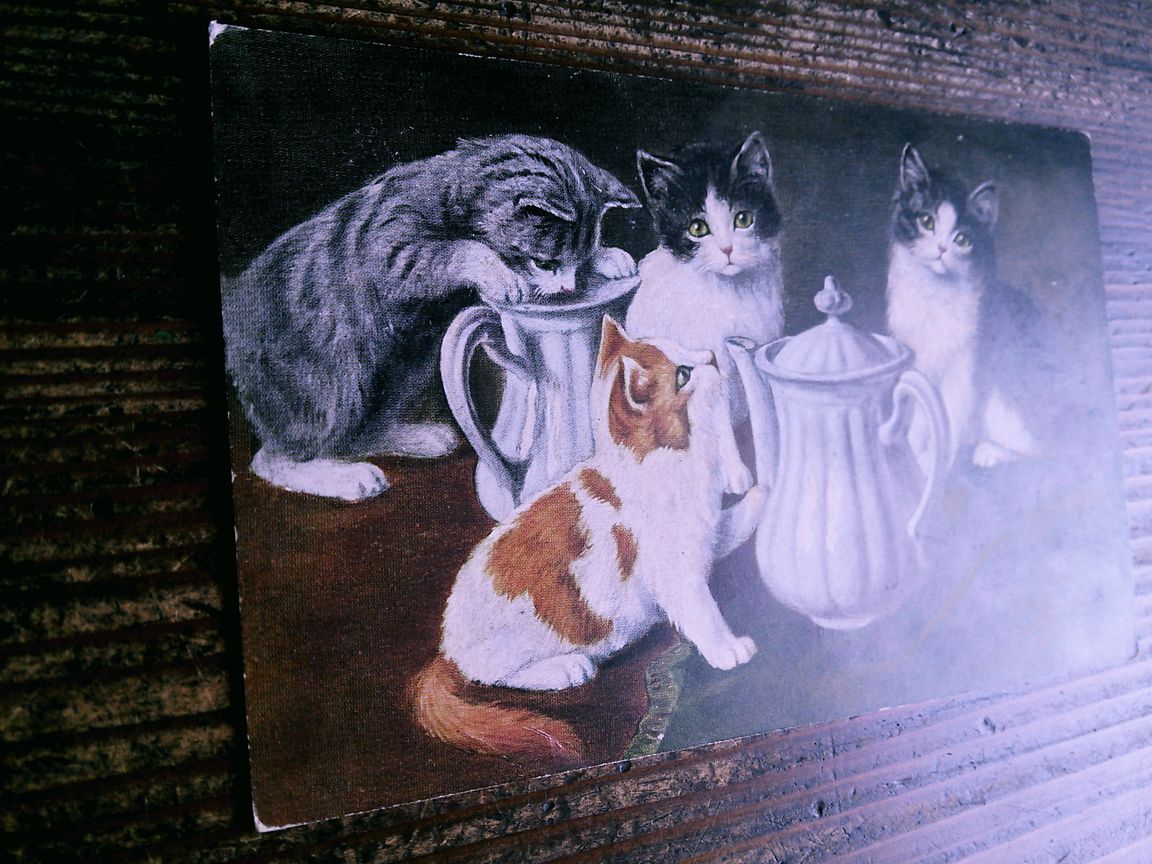 猫(20) R51◆アンティークポストカード フランス ドイツ ベルギー イタリア イギリス ネコ ねこ 子猫 外国絵葉書の画像7