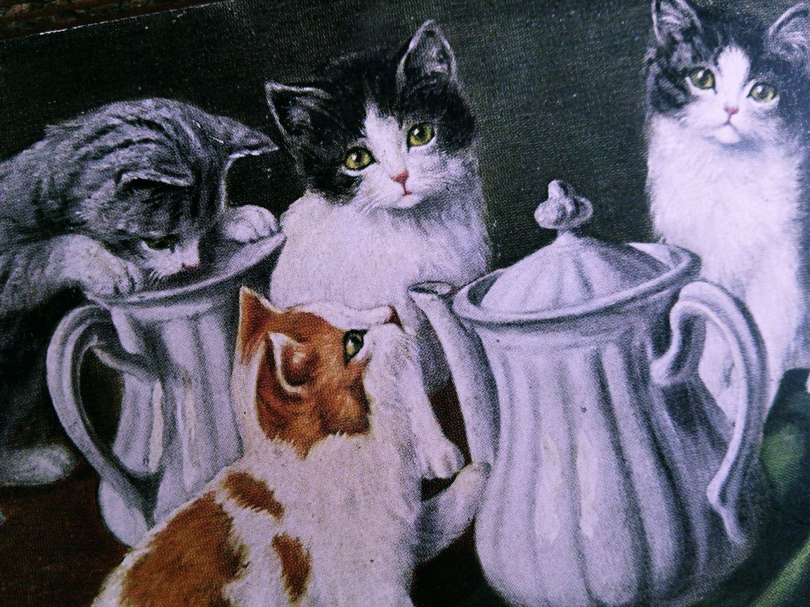 猫(20) R51◆アンティークポストカード フランス ドイツ ベルギー イタリア イギリス ネコ ねこ 子猫 外国絵葉書の画像4