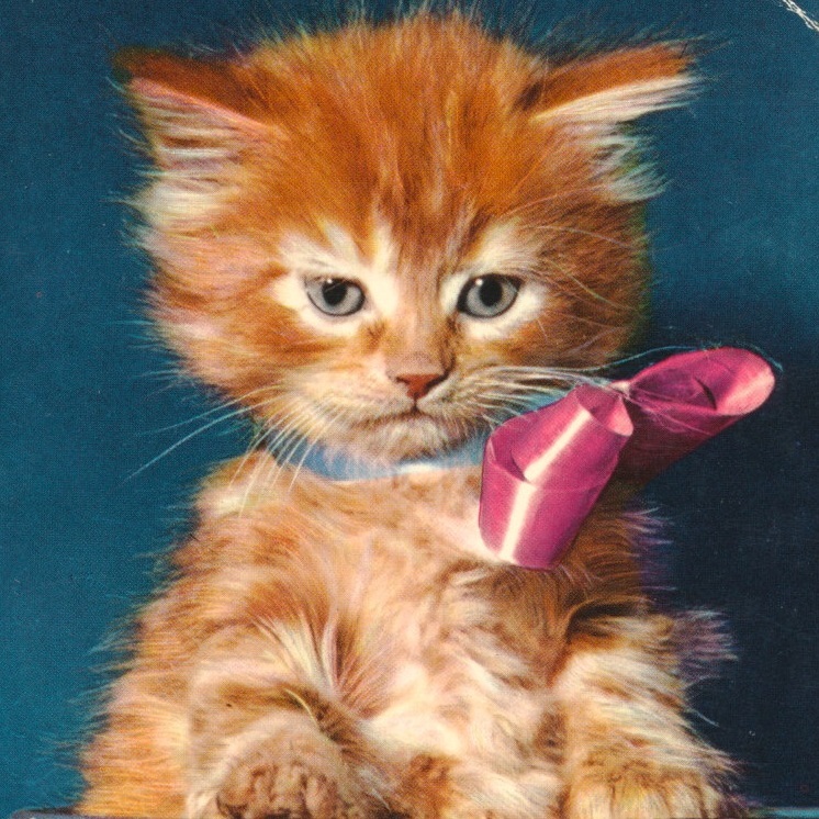 猫(26) U94◆ビンテージポストカード フランス ドイツ ベルギー イタリア イギリス ネコ ねこ 子猫 外国絵葉書の画像1