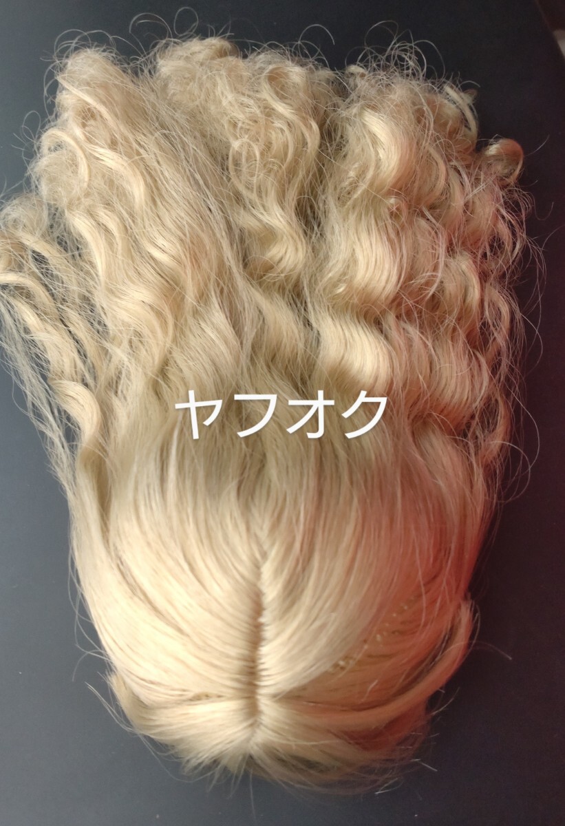 *ネオブライス*プリンセスシャーリーブライス*頭皮*ヘアパーツ*ネジなし*美品*