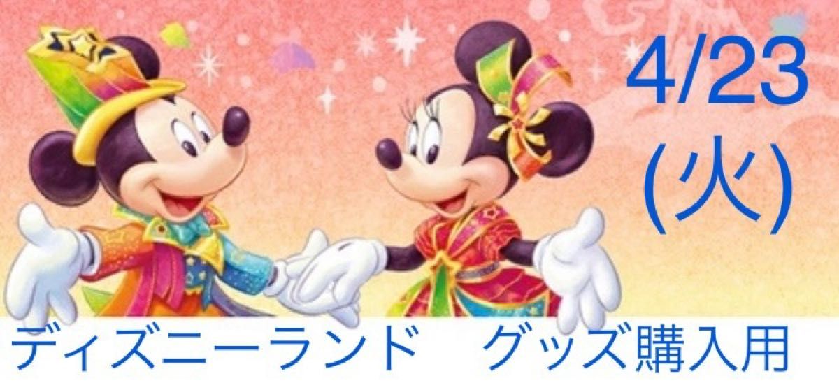 ディズニーランド（TDL）グッズ購入用　入園済み