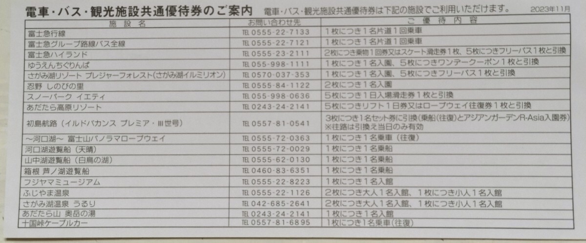 富士急行 株主優待 電車・バス・観光施設共通優待券 10枚セット 富士急ハイランドフリーパス2名様分の画像2