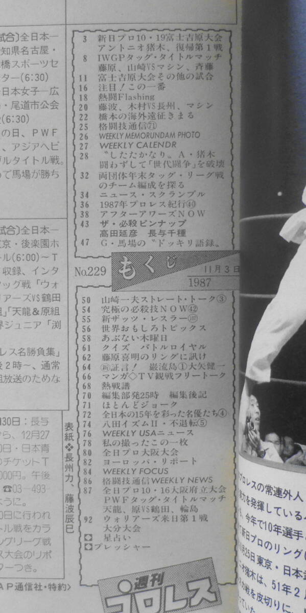 週刊プロレス　昭和62年11月3日No.229　G・馬場の“ドッキリ語録” ベースボール・マガジン h_画像2