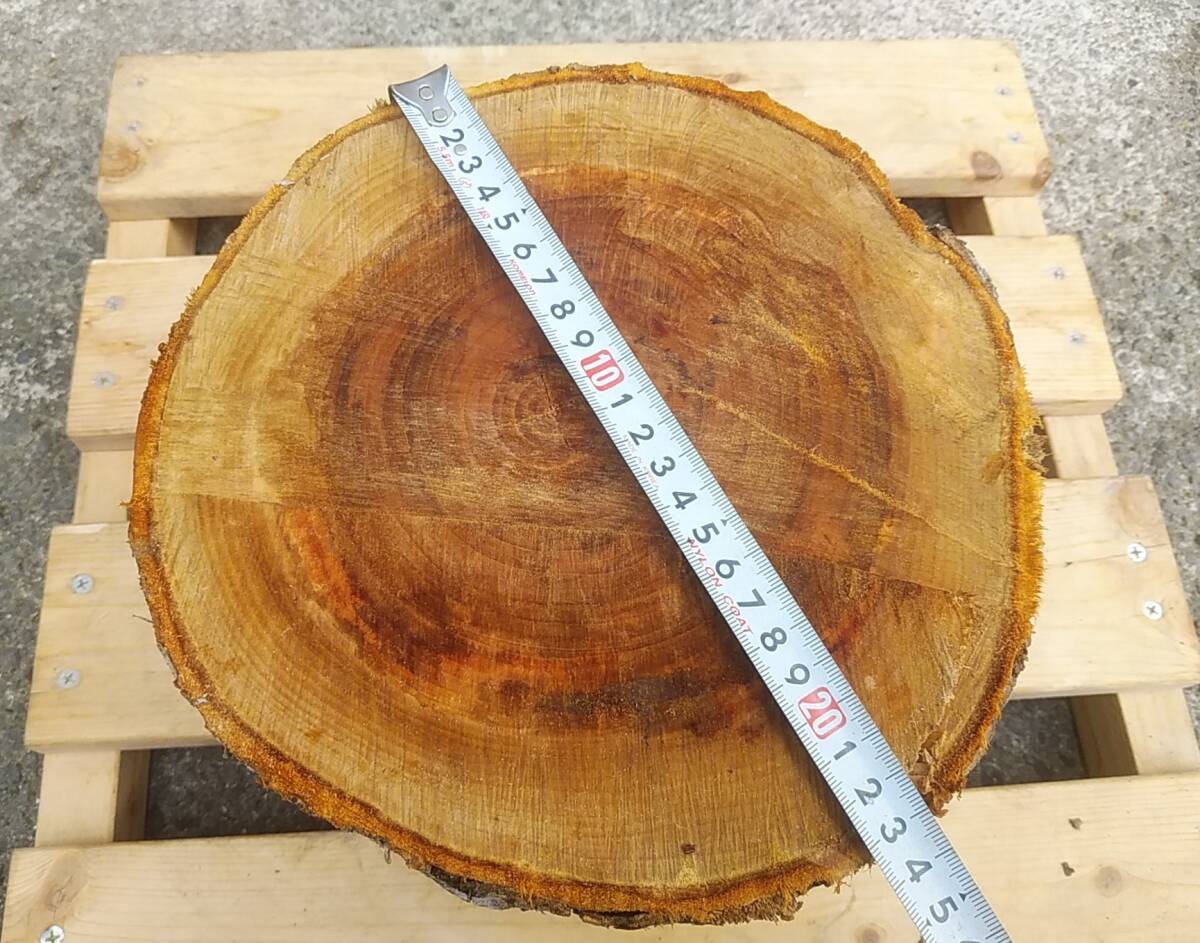 ⑤ apple. tree firewood tenth pcs not yet dry raw tree bato person g pcs .. fire camp open-air fireplace wood stove firewood grill firewood wide leaf .
