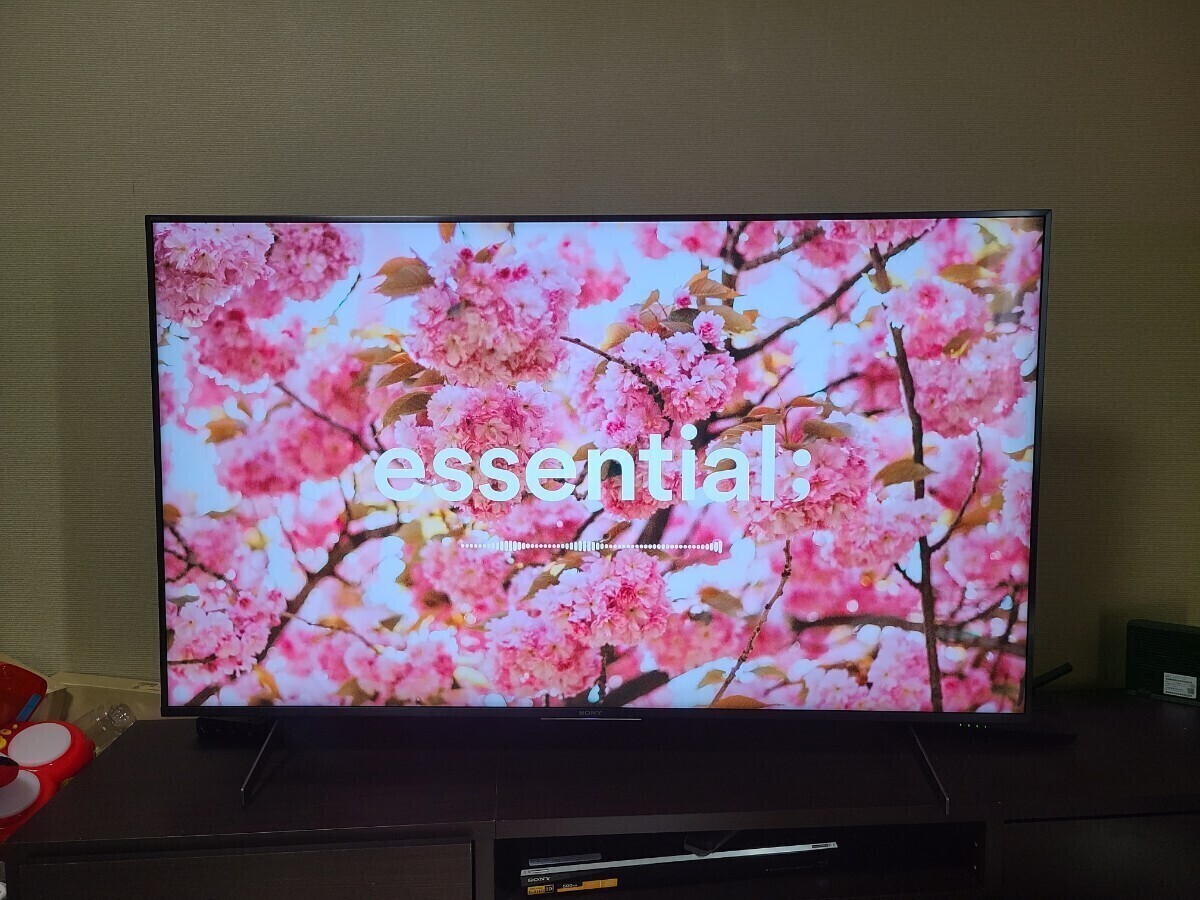 SONY BRAVIA 55V型 KJ-55X8550H 4K液晶TV 2020年 ネット動画対応 リモコン付き　ソニー　ブラビア