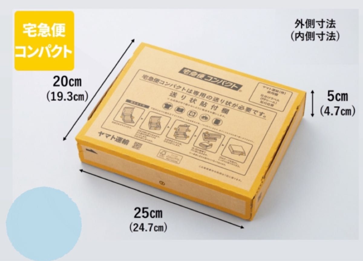 多肉植物　韓国苗入り中小苗多めカット苗セット　おまかせ詰め合わせBOX 宅急便コンパクト