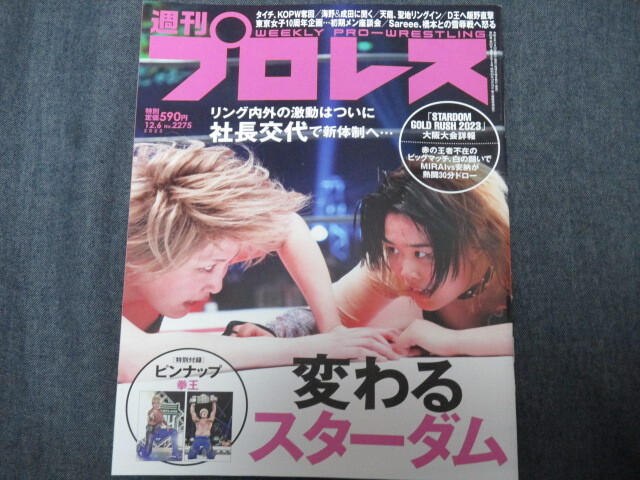 週刊プロレス/スターダム表紙8冊セット/鈴木すず/中野たむ/岩谷麻優/朱里/ジュリア/安納サオリ/林下詩美の画像6