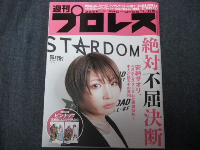 週刊プロレス/スターダム表紙8冊セット/鈴木すず/中野たむ/岩谷麻優/朱里/ジュリア/安納サオリ/林下詩美の画像9