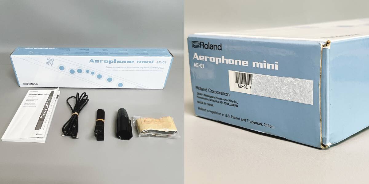 良品 ローランド AE-01 エアロフォン ミニ マウスピース コード ストラップ 取説 電池新品交換済み 箱付き 通電OKの画像10