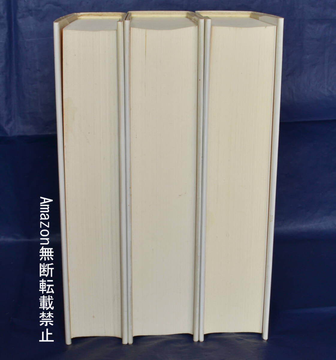 ムージル伝記 全3冊揃 カール・コリーノ著 法政大学出版局 叢書ウニベルシタス - 海外文学研究 ムージル伝記 全3冊揃 カール・コリーノ著 法政大学出版局 叢書ウニベルシタス - 海外文学研究