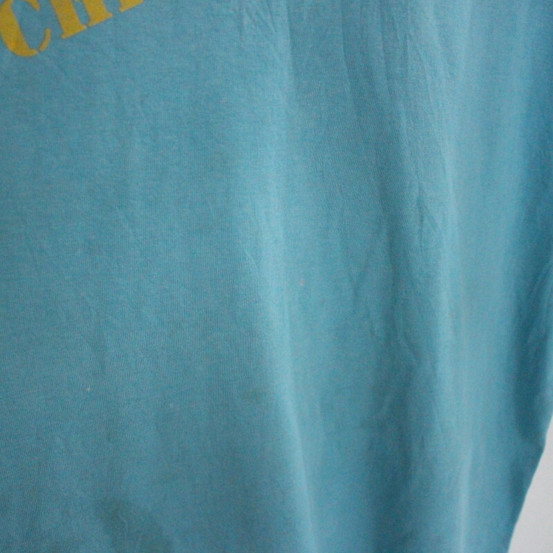 L417 2000年代製 ギルダン 半袖プリントTシャツ■00s 表記XLサイズ ブルー 青 メッセージ アメカジ ストリート 古着 古着卸 オールド 激安_画像9